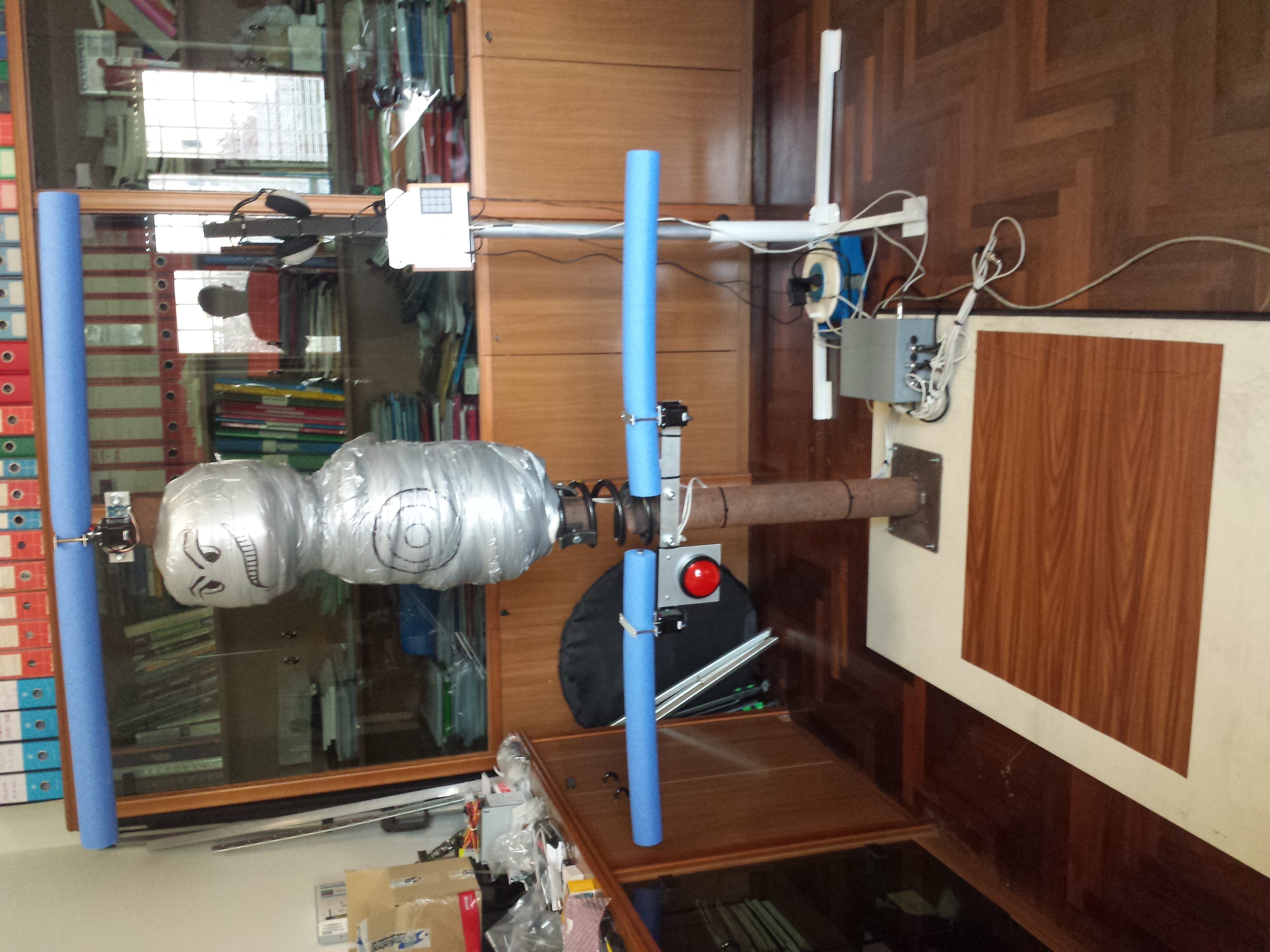 Interactive punchball system